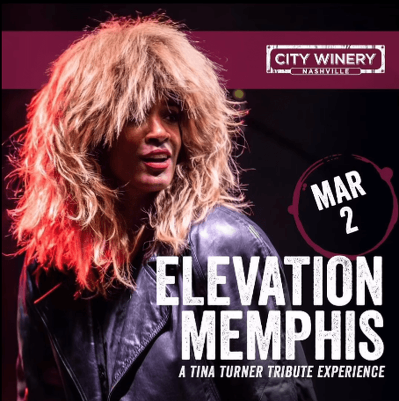 Elevation Memphis: A Tina Turner Tribute Experience