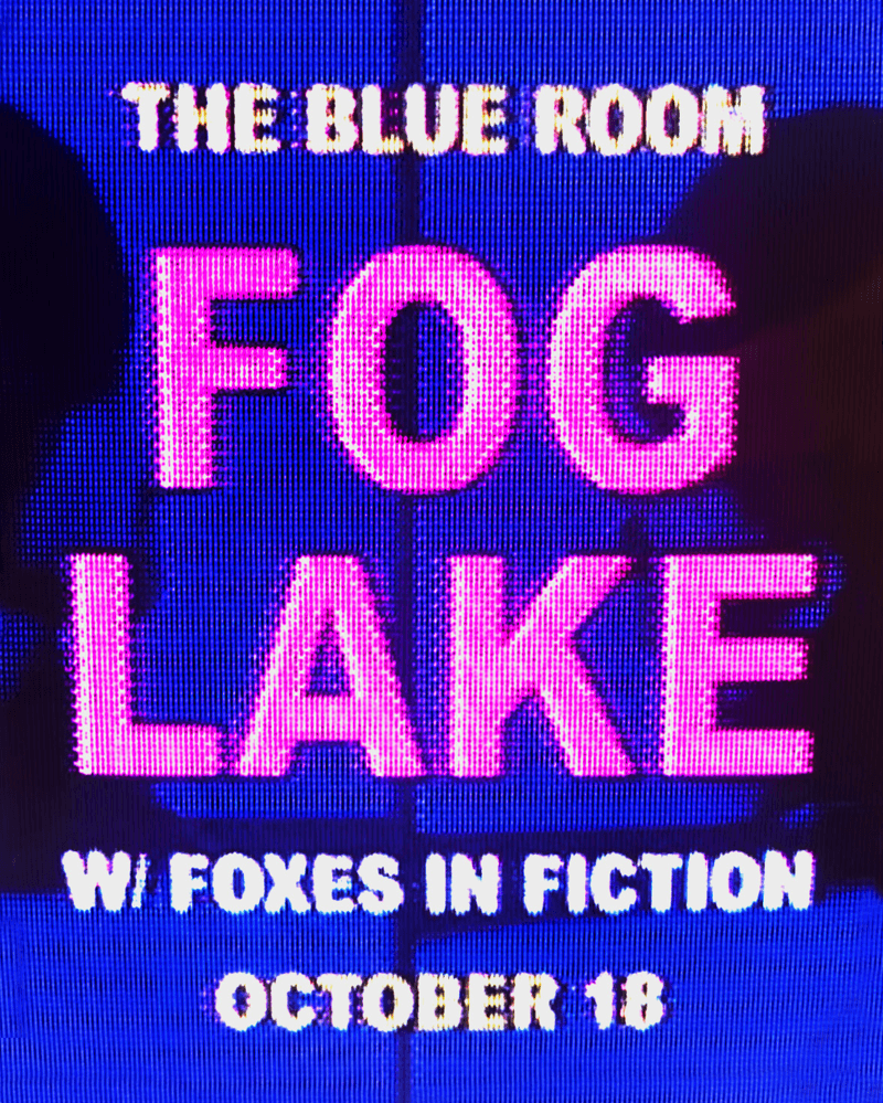 Fog Lake // Foxes in Fiction