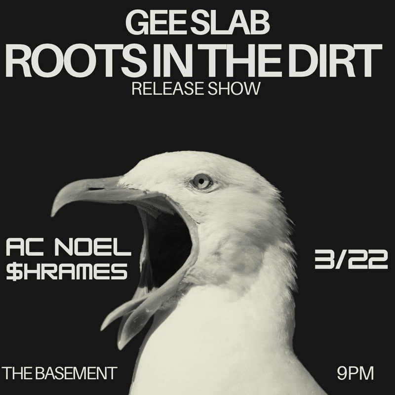 Gee Slab // AC Noel // $hrames