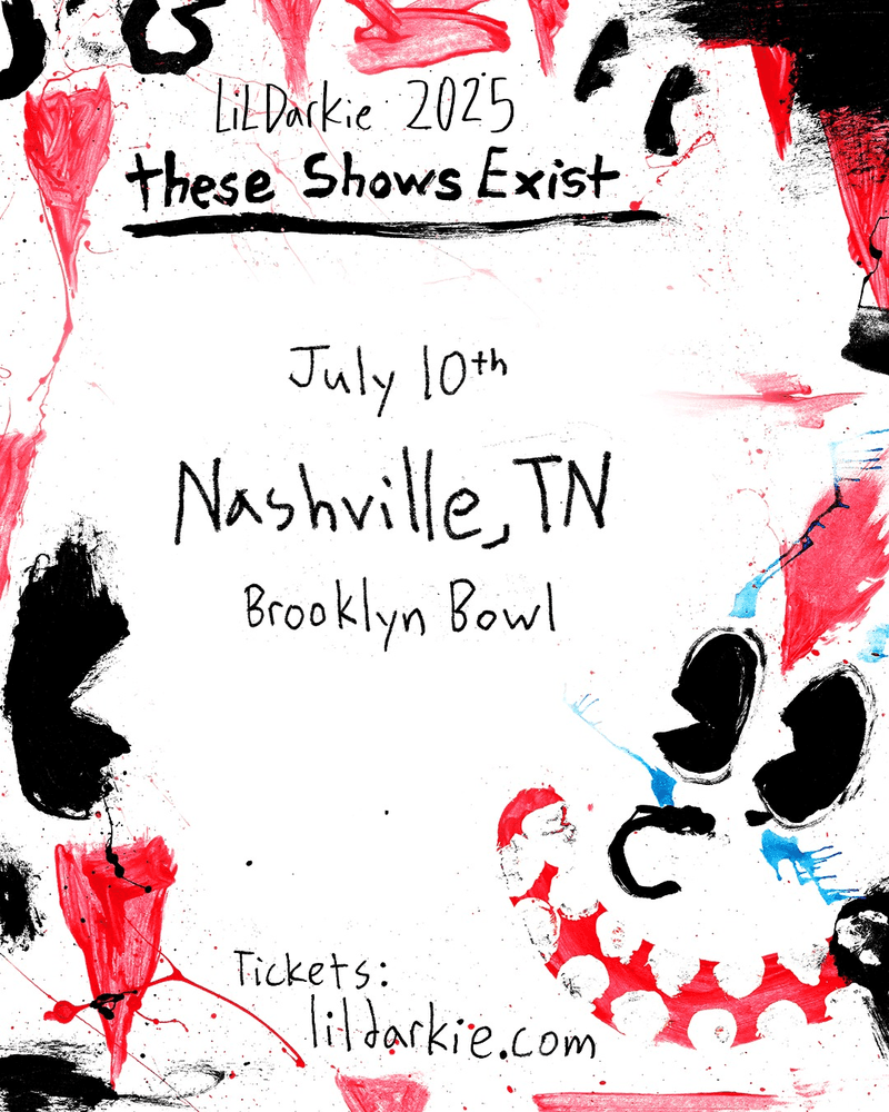 Lil Darkie - These Shows Exist