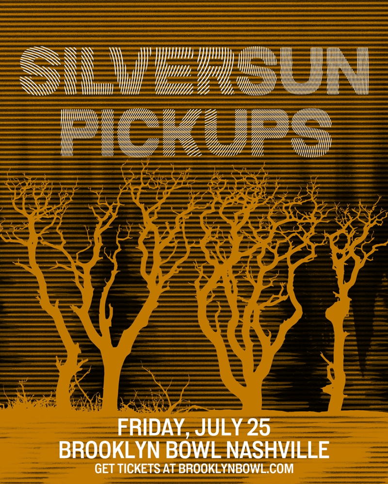 Silversun Pickups