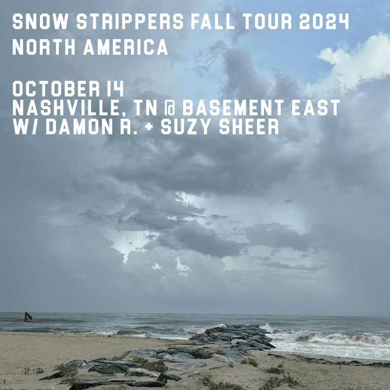 Snow Strippers // damon r. // Suzy Sheer