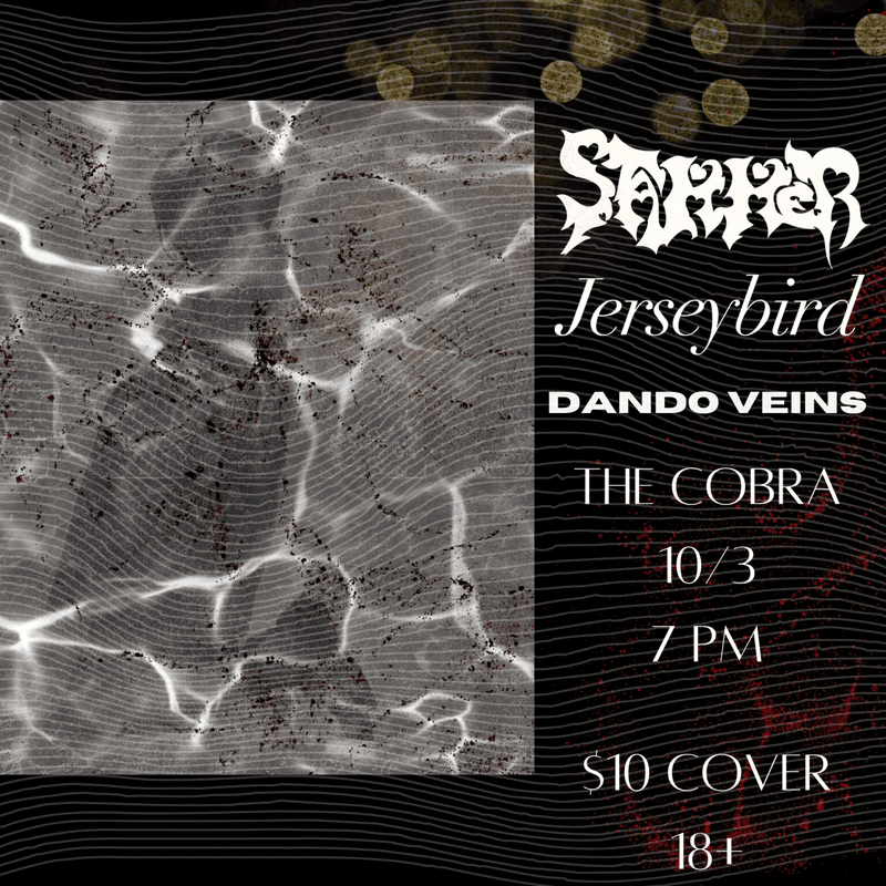 Stammer // Jerseybird // Dando Veins