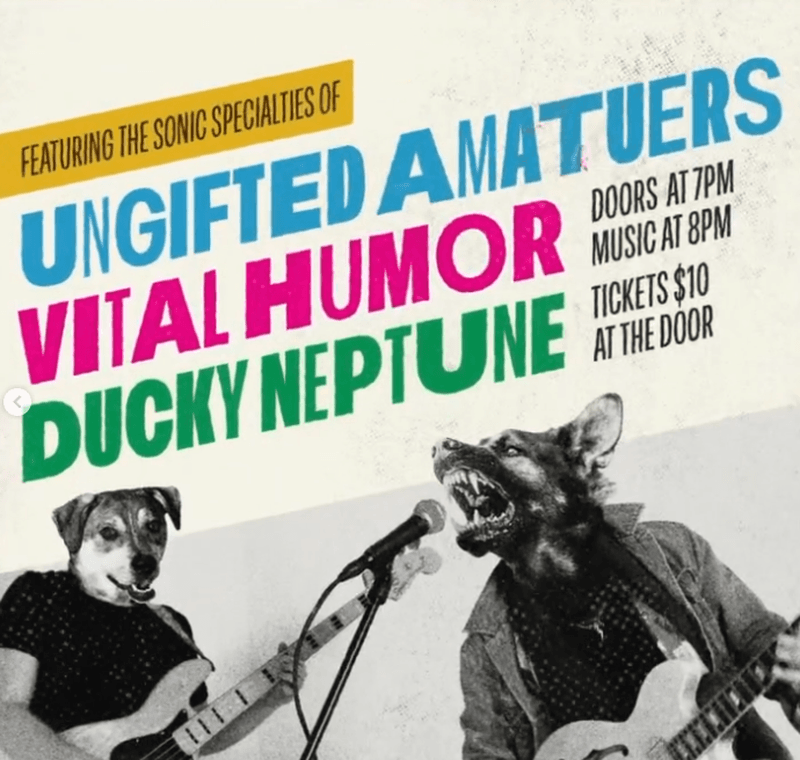 Ungifted Amateurs // Ducky Neptune // Vital Humor