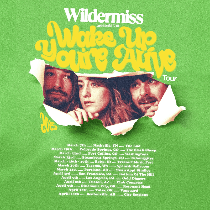 Wildermiss // Golden Blue - Wake Up You're Alive Tour